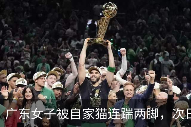 广东女子被自家猫连踹两脚，次日凌晨痛到送医，腹腔竟出血1000毫升！