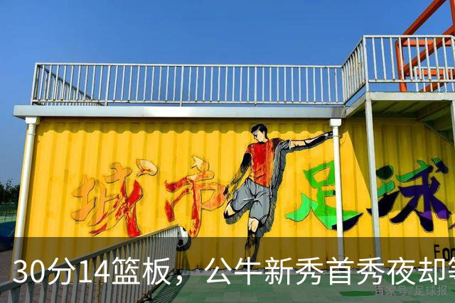 30分14篮板，公牛新秀首秀夜却等不来一场胜利